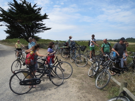 Der ein oder andere...