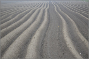 Gegen den Tabellenersten Nichts zu ernten