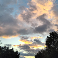 Herren3: Ein Lichtlein am Horizont